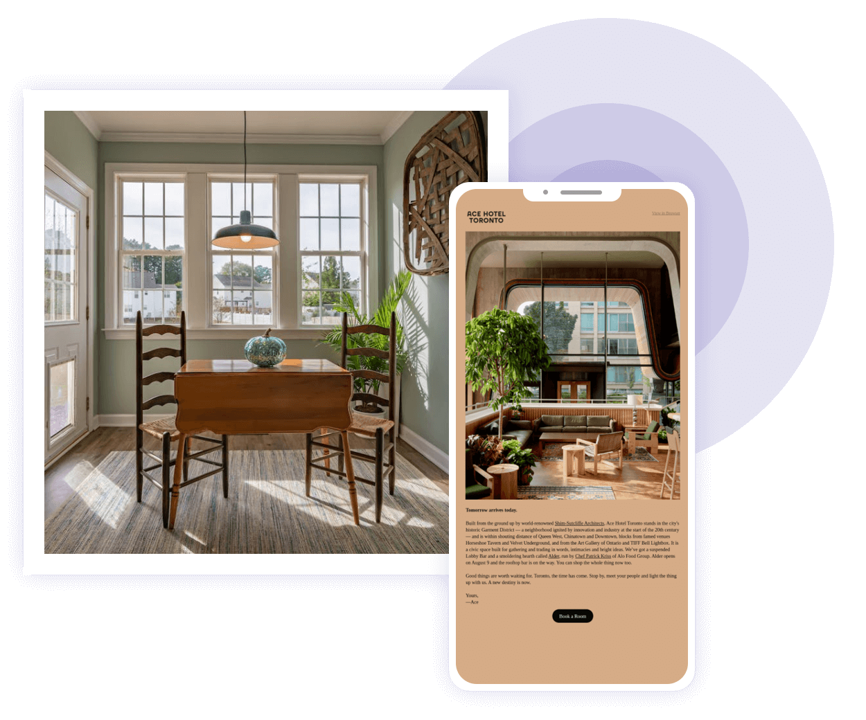 Mailcattle,郵件營銷,電子郵件營銷,EDM